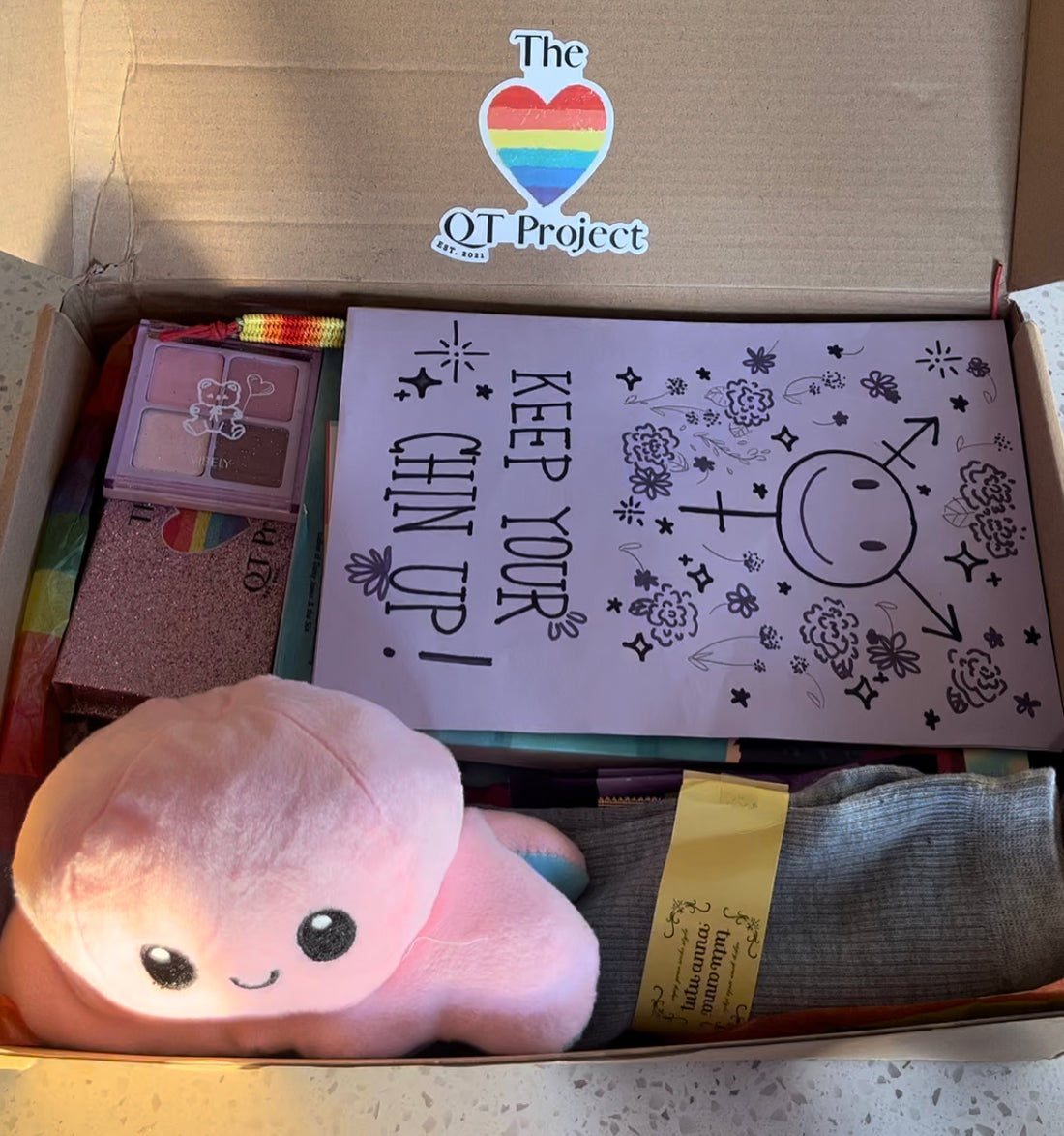 Sample Build-A-Queer kit with visible items shown of a reversible plushie octopus, a handwritten card, socks, the Queer Trans Project Sticker, and more in a brown box