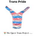  Trans Pride